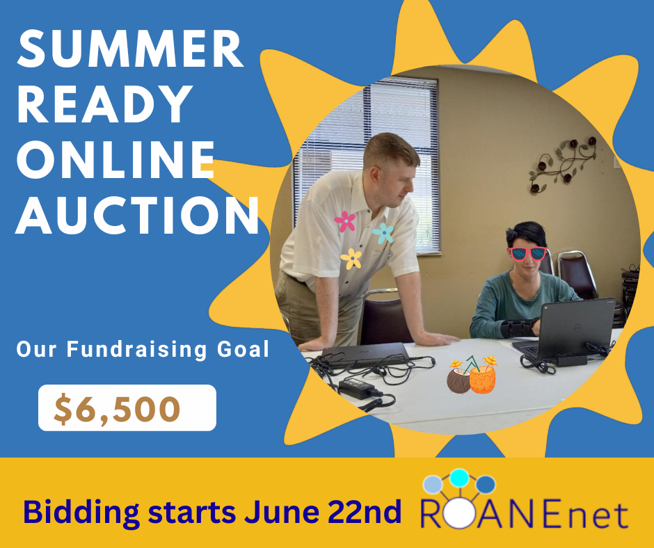Summer Ready Online Auction